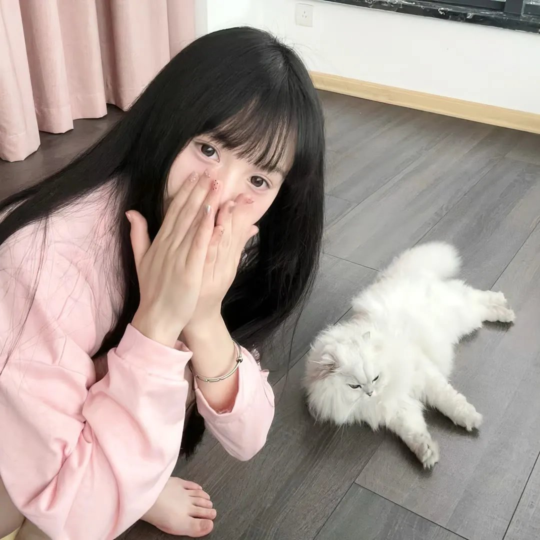 当狗爱上猫粤语 海报