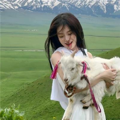 莫莉·麦克斯韦 海报